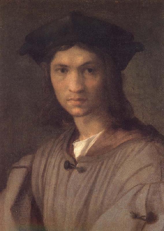 Andrea del Sarto Man portrait oil painting picture